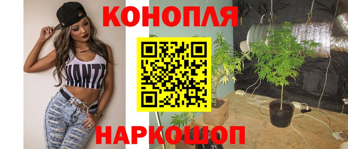 ГАШ Новозыбков